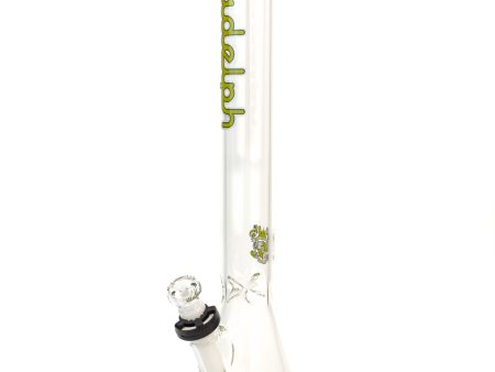 Illadelph • Tall Beaker Lime Sale